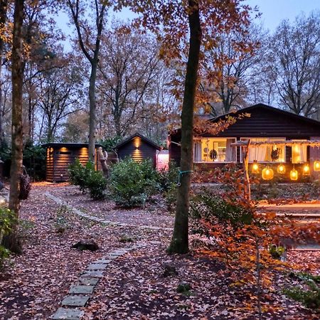 Lodge In Een Bosrijke Omgeving Met Hottub & Sauna Opt Rheezerveen Exteriér fotografie