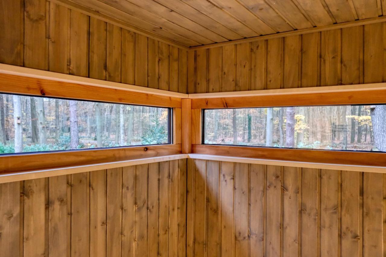 Lodge In Een Bosrijke Omgeving Met Hottub & Sauna Opt Rheezerveen Exteriér fotografie