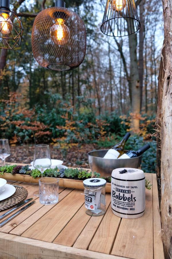 Lodge In Een Bosrijke Omgeving Met Hottub & Sauna Opt Rheezerveen Exteriér fotografie